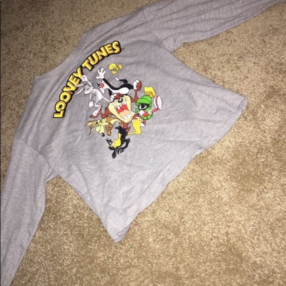 Looney tunes cropped